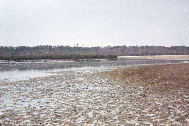 Zona Reservada de Tumbes