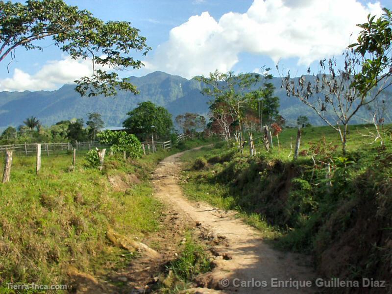 Rehabilitacin de la carretera en Mashuyacu