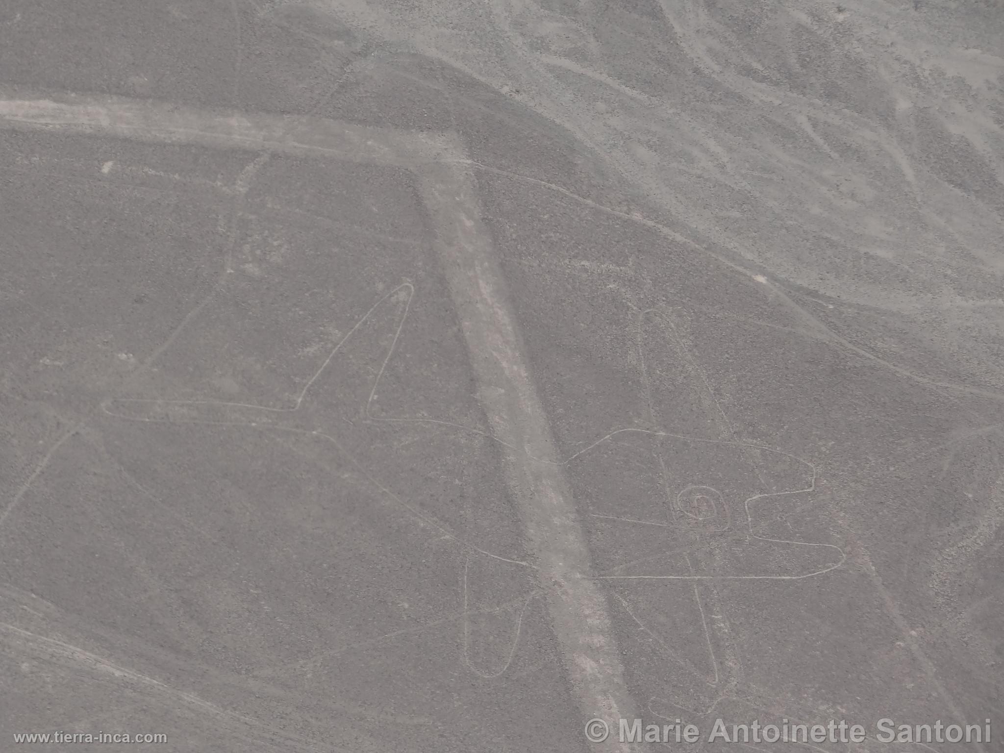 Lineas de Nazca