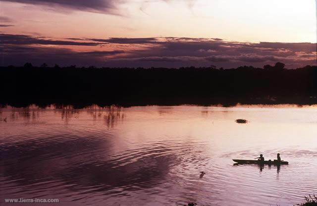 Selva baja, Iquitos