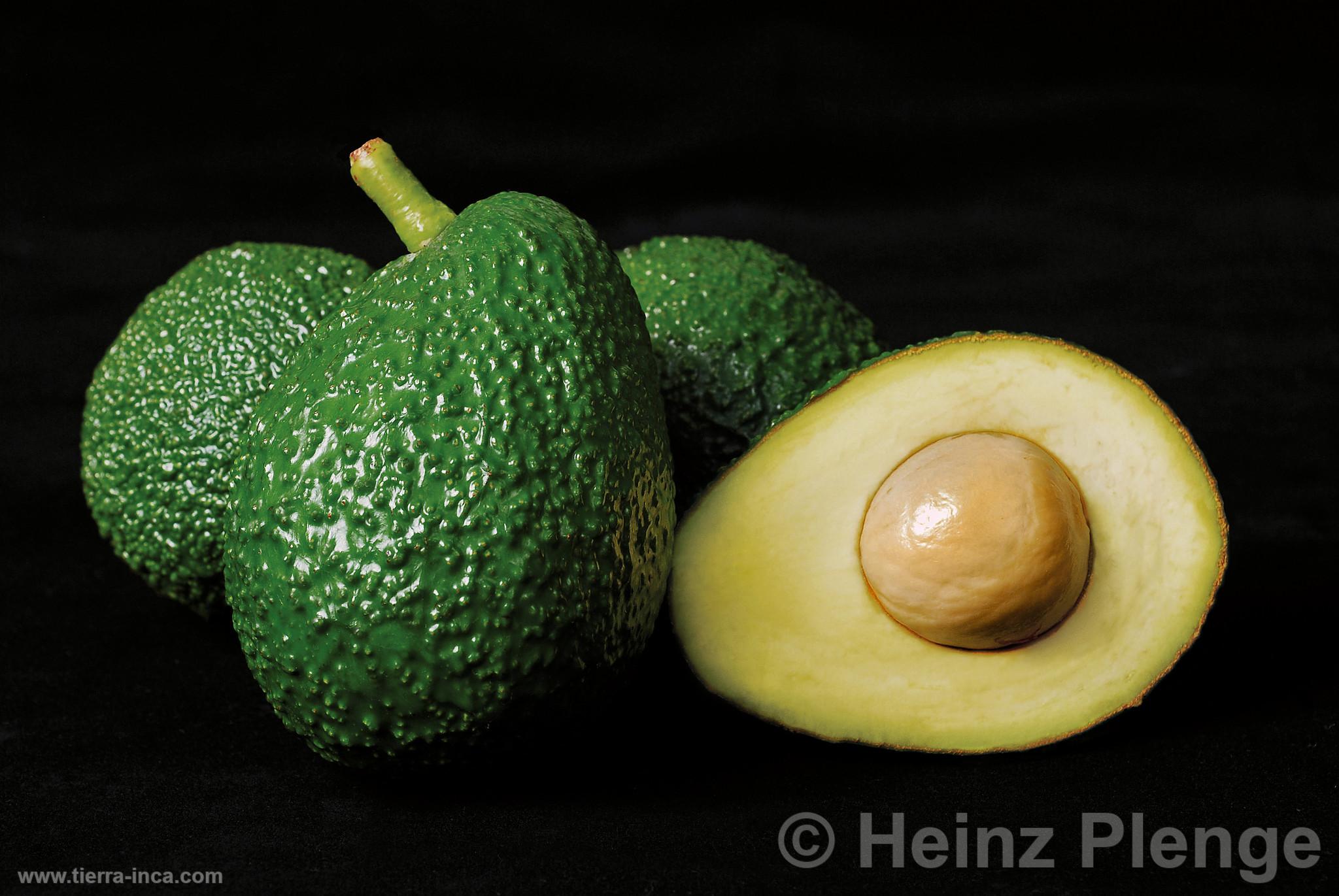 Palta hass