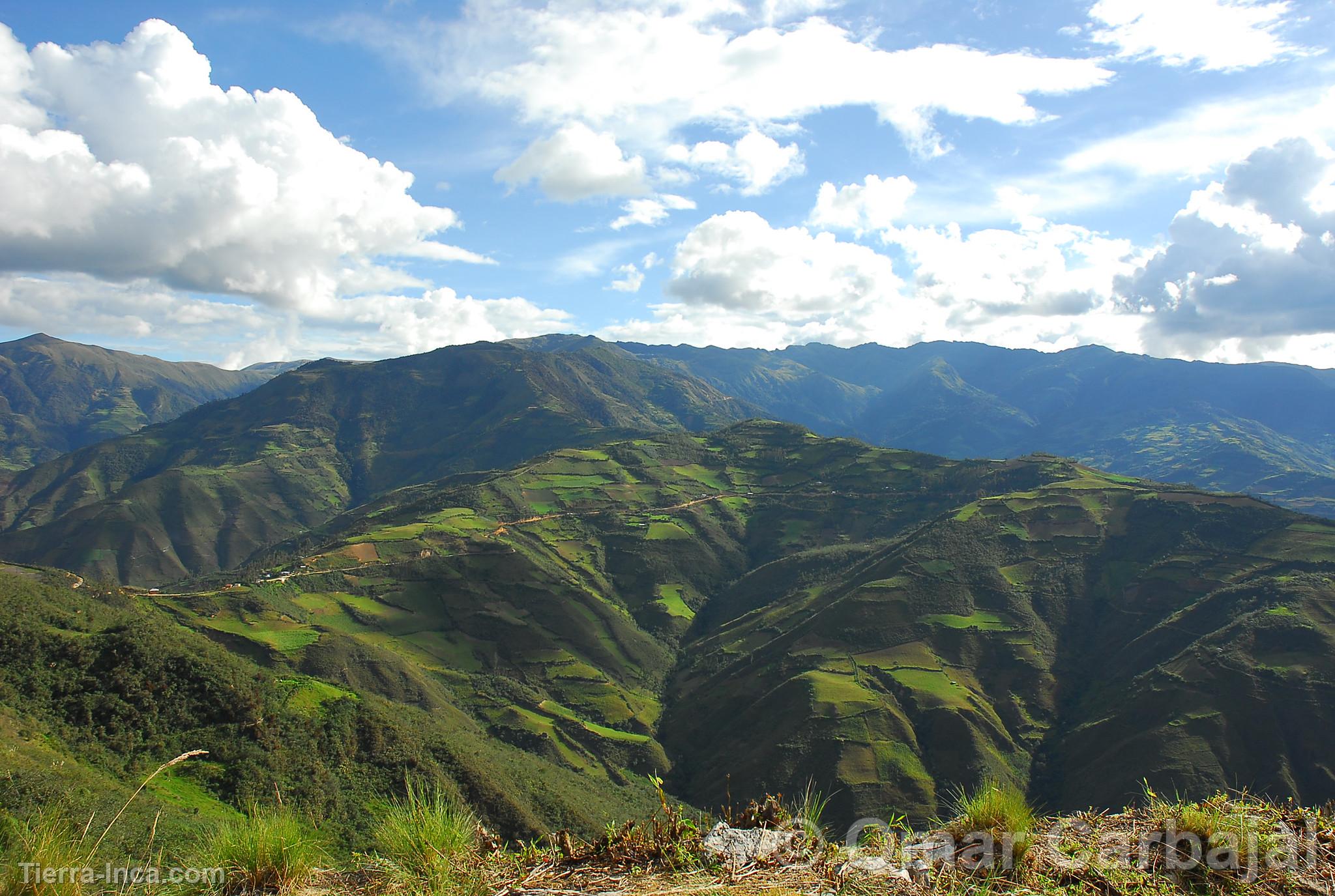 Paisaje de selva alta