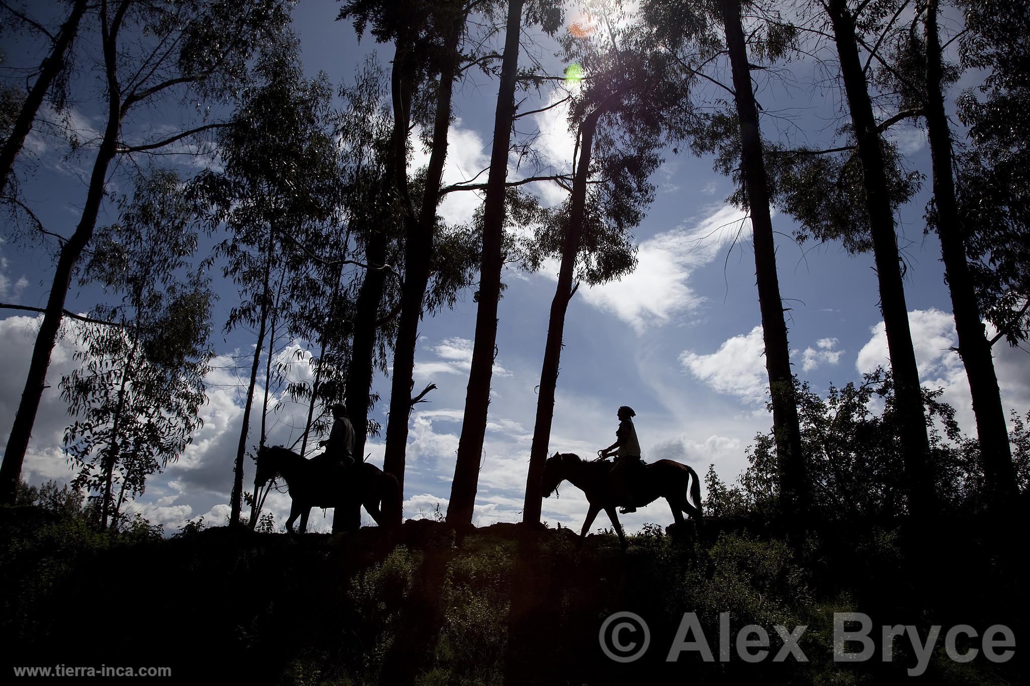 Paseos a Caballo en Sacsayhuamn