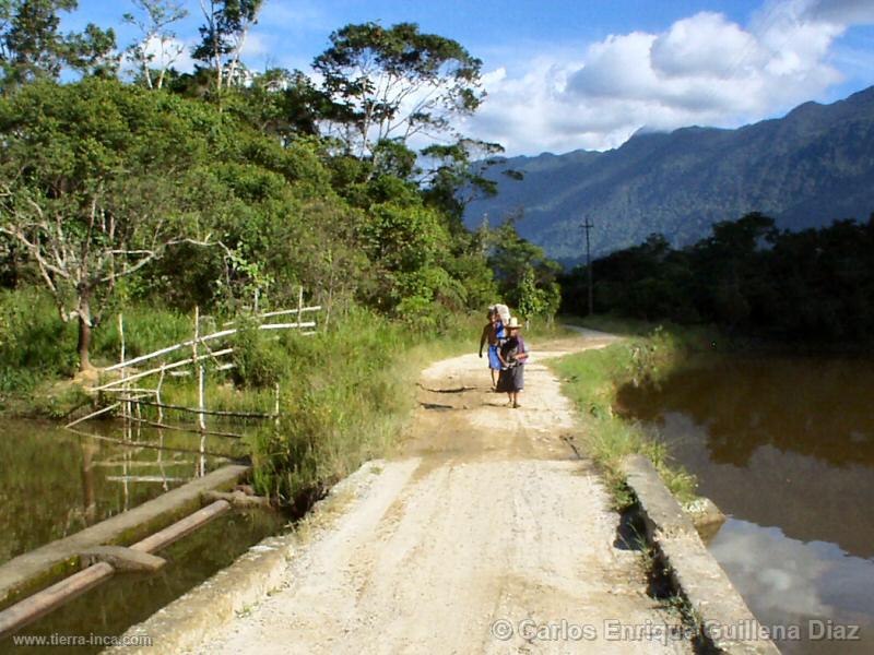 Laguna en Mashuyacu