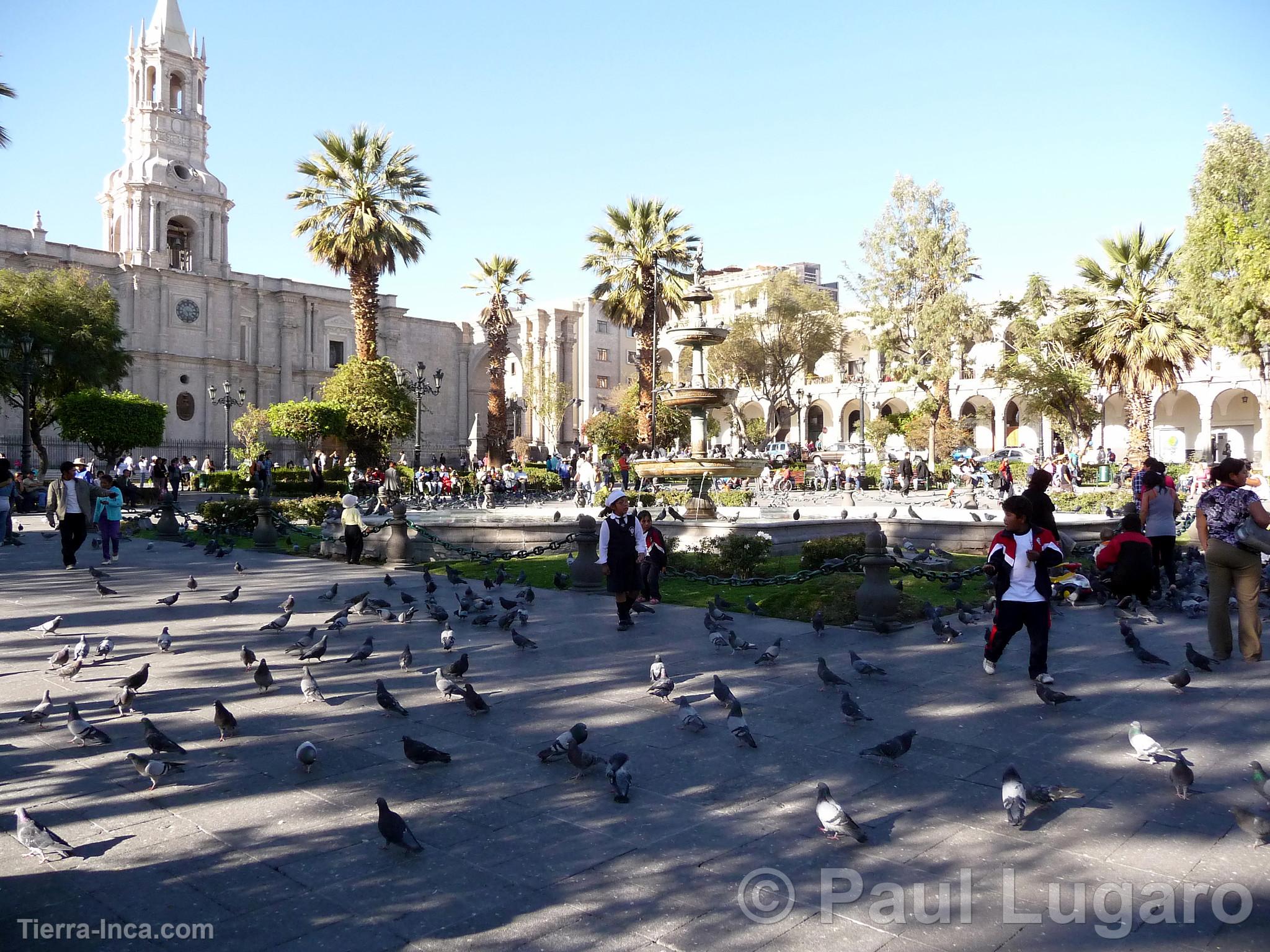 Arequipa