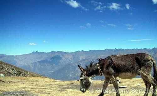 Cordillera Blanca