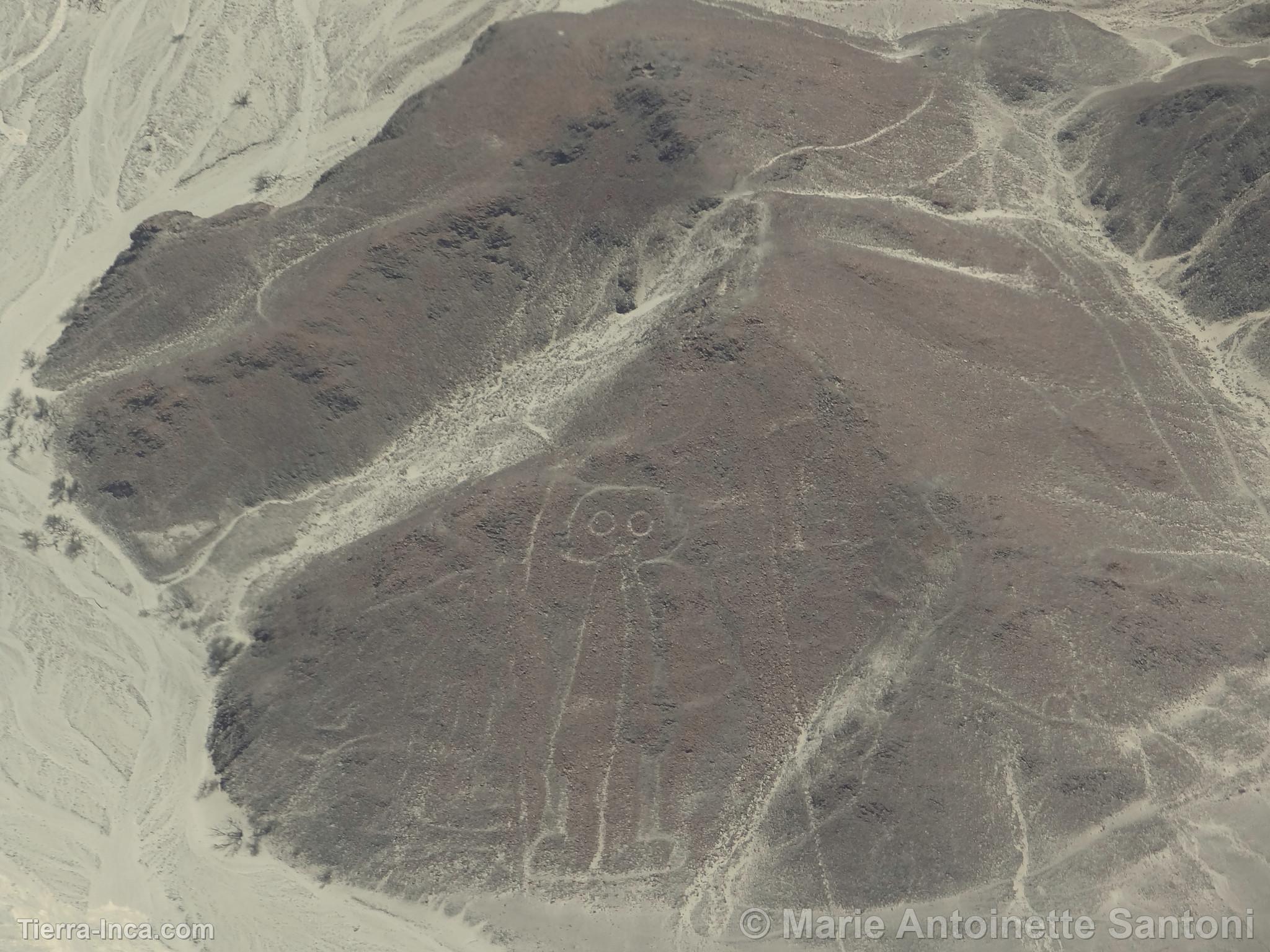 Lineas de Nazca