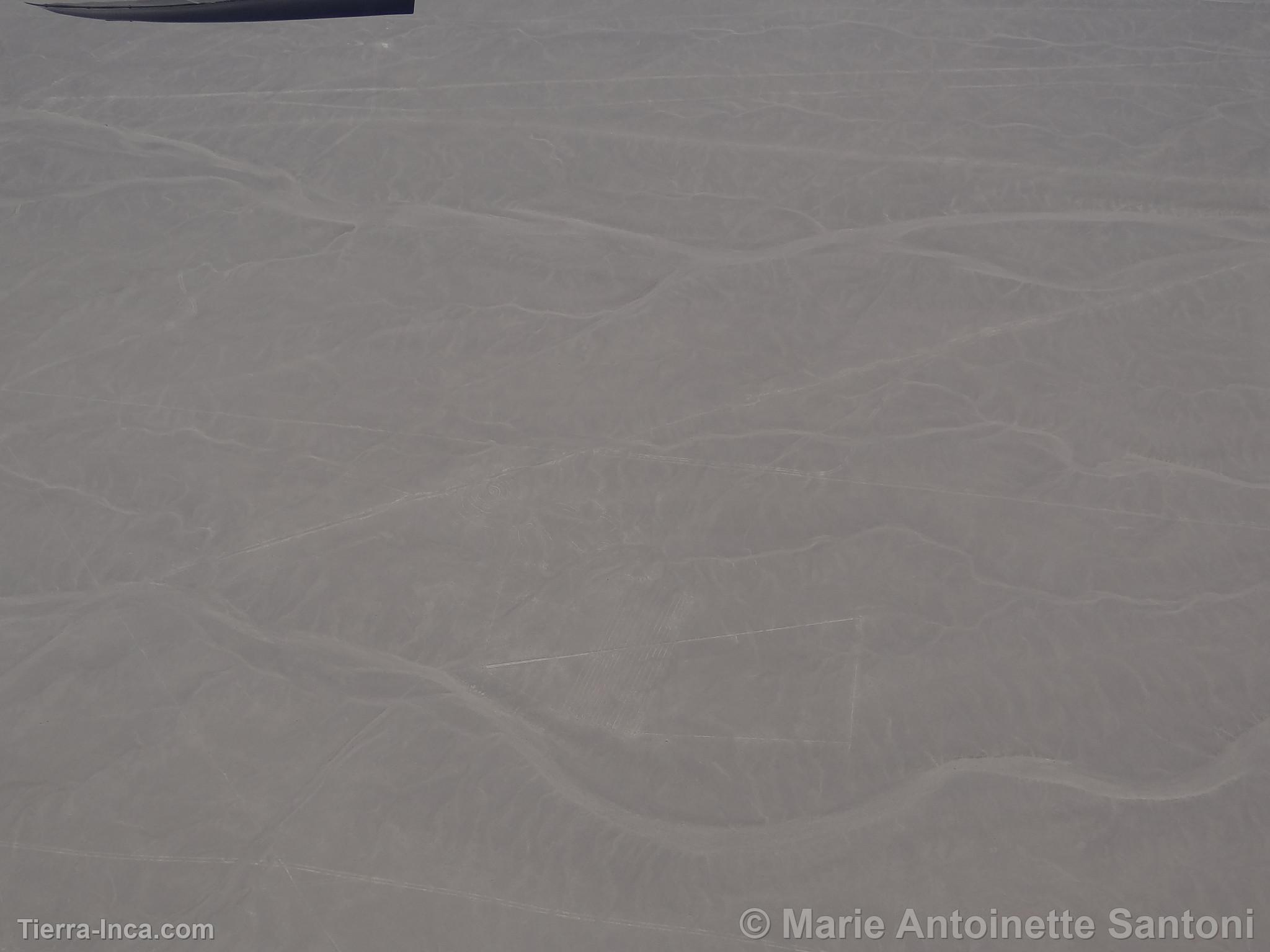 Lineas de Nazca