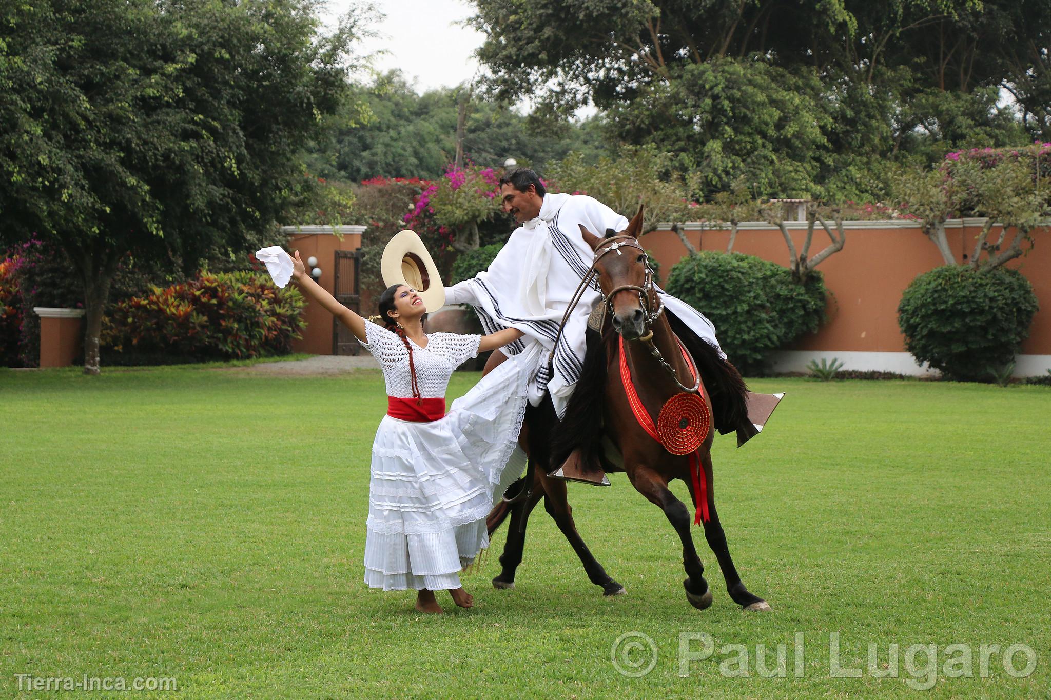 La Marinera y el caballo de paso