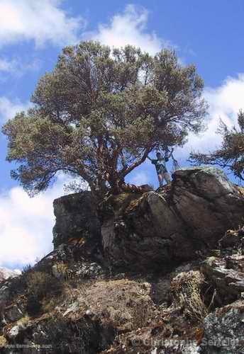 Cordillera Blanca