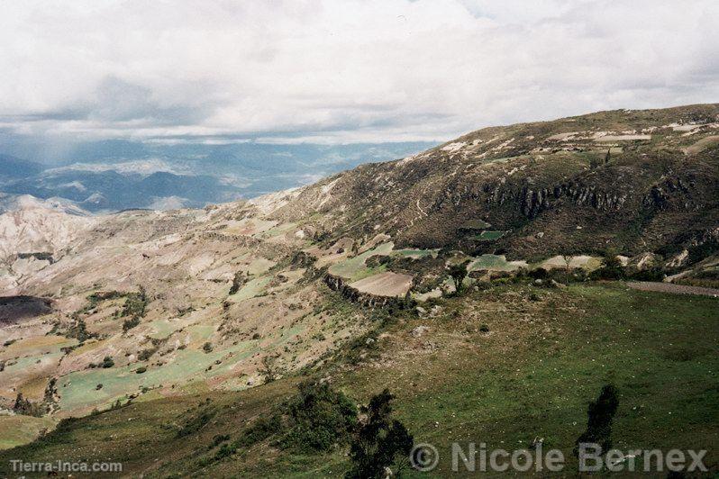 Andes hmedos, Cutervo