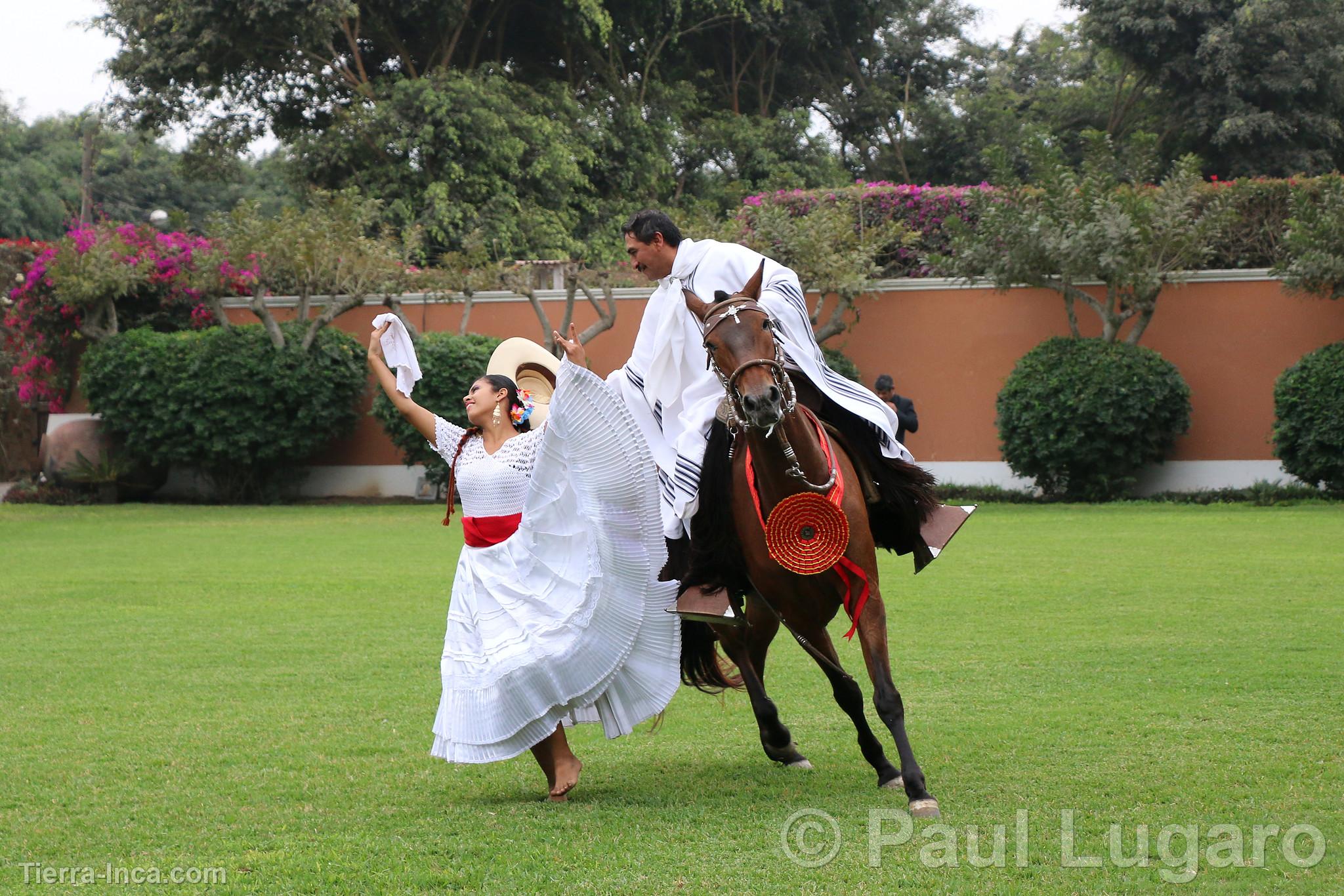 La Marinera y el caballo de paso