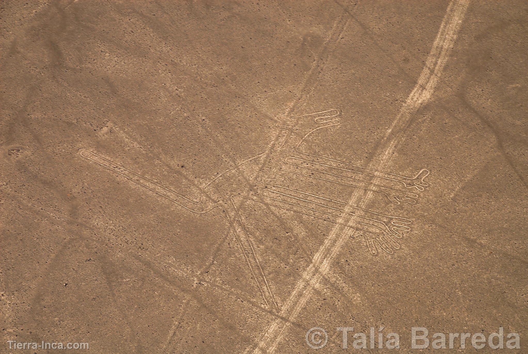 Líneas de Nazca
