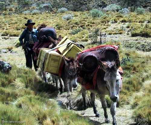 Cordillera Blanca