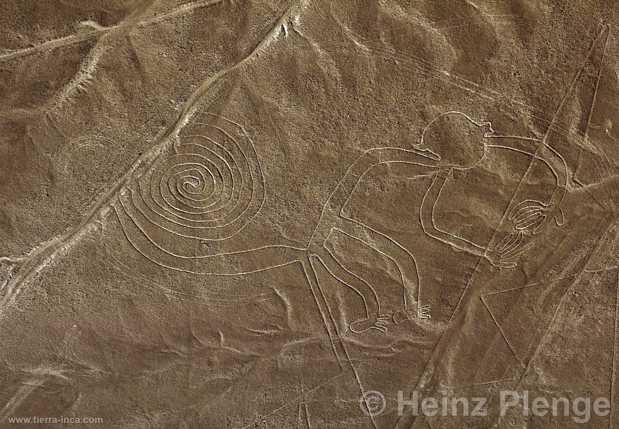 Lneas de Nazca