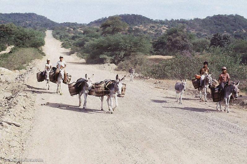 Valle piurano, Piura