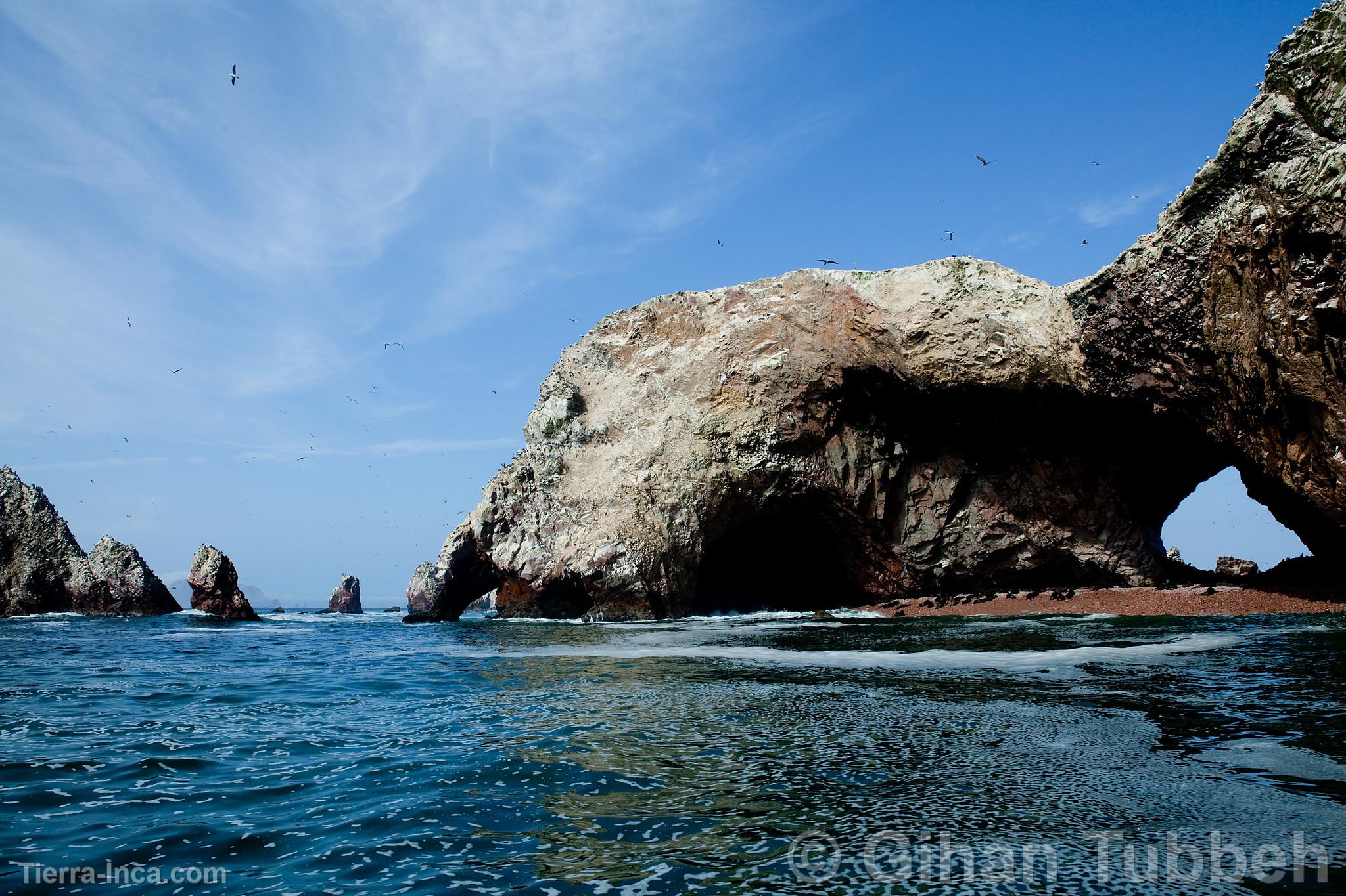 Islas Ballestas, Paracas