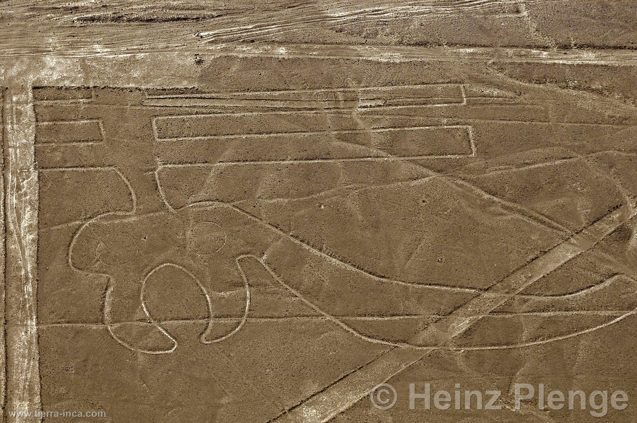 Lneas de Nazca