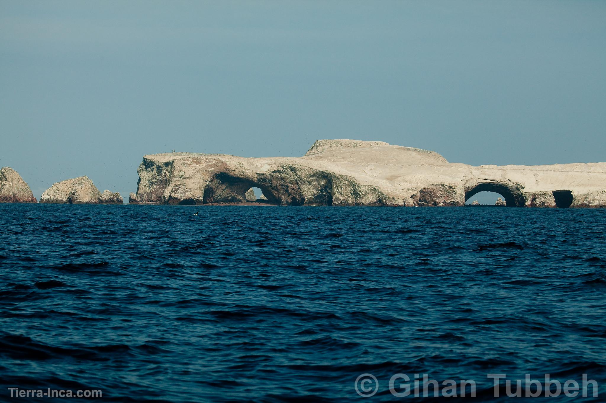 Islas Ballestas, Paracas