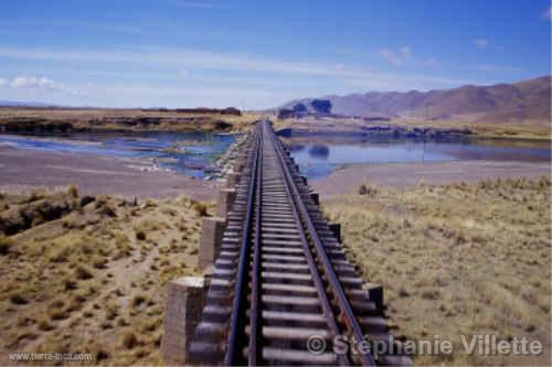 Tren entre Puno y Cuzco