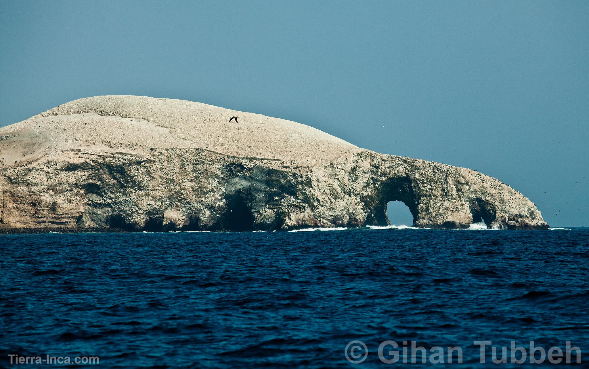 Islas Ballestas, Paracas