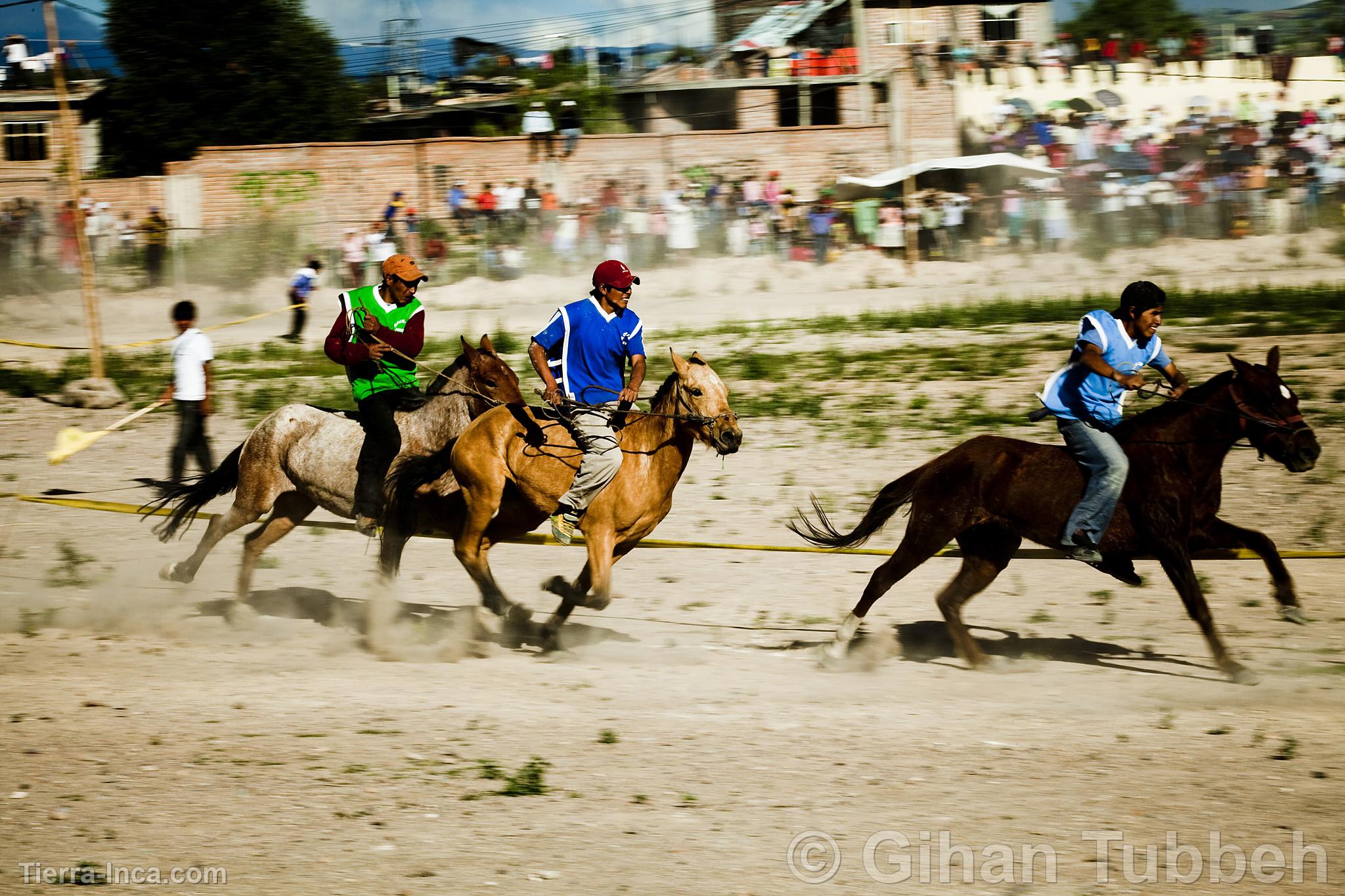 Carrera de caballos