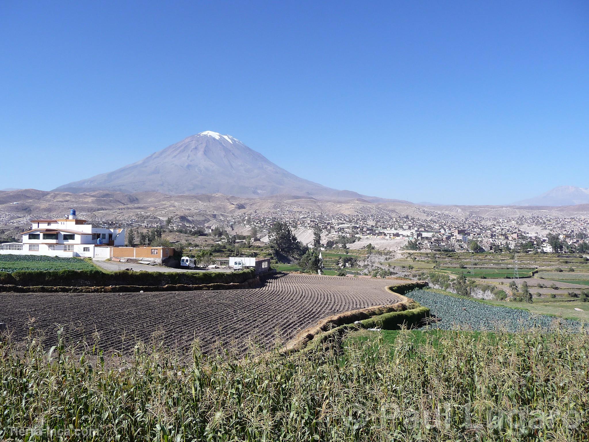 Arequipa