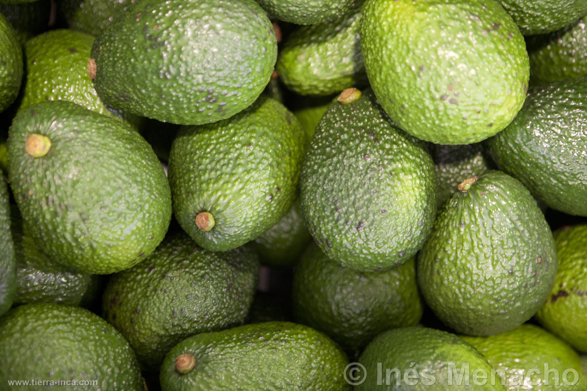 Palta hass