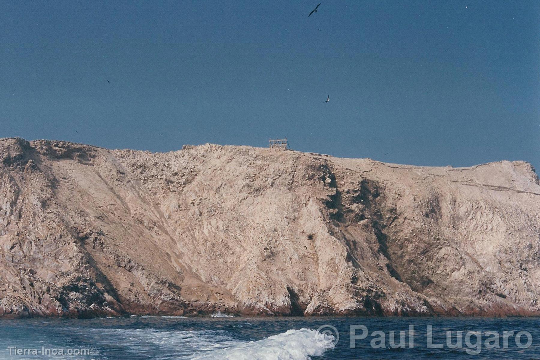 Islas Ballestas, Paracas