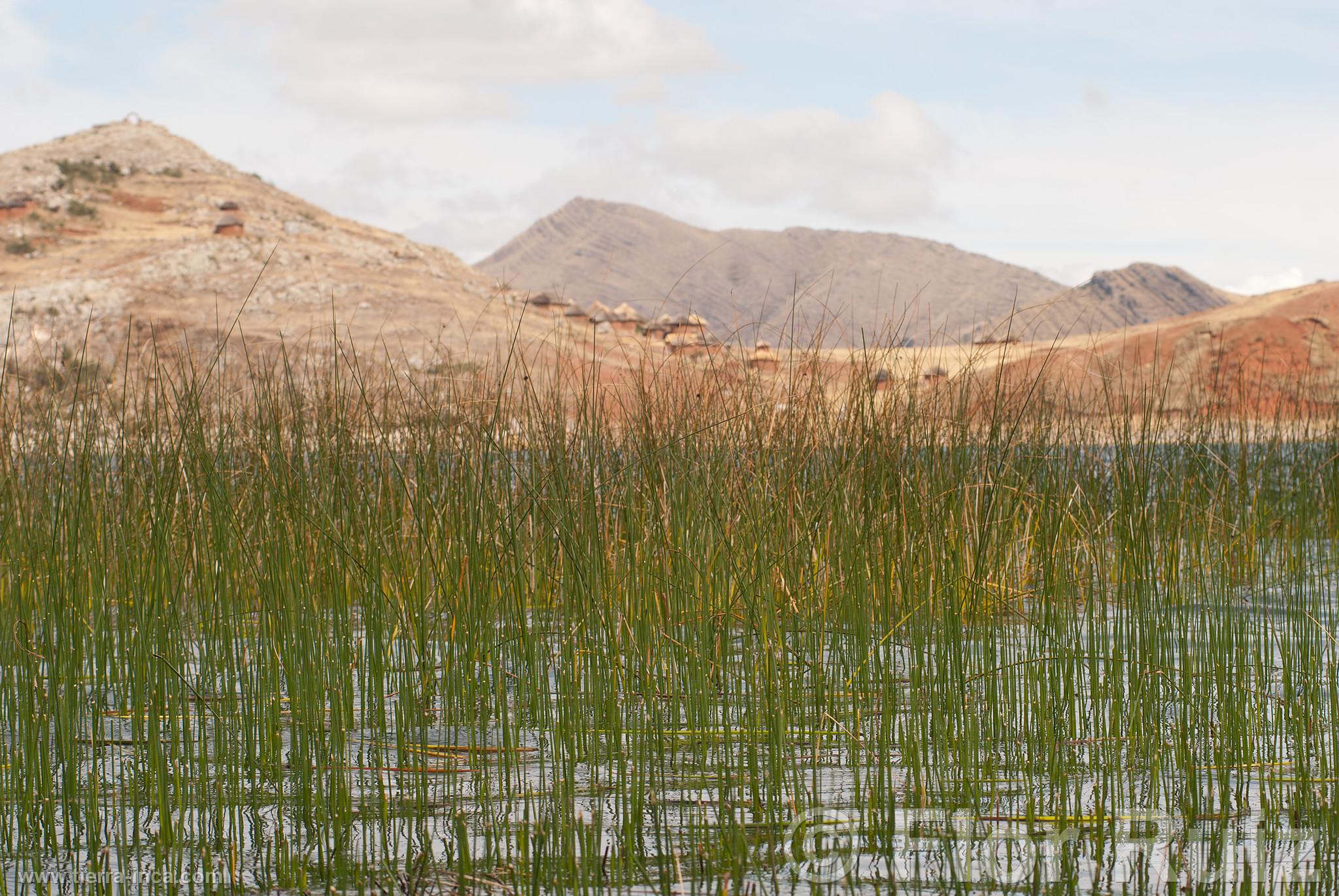 Isla Tikonata en el Lago Titicaca