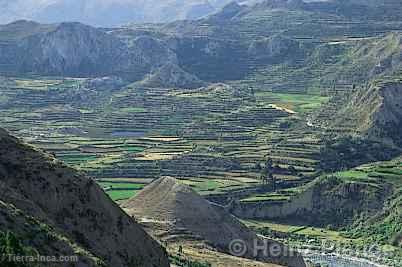 Can del Colca