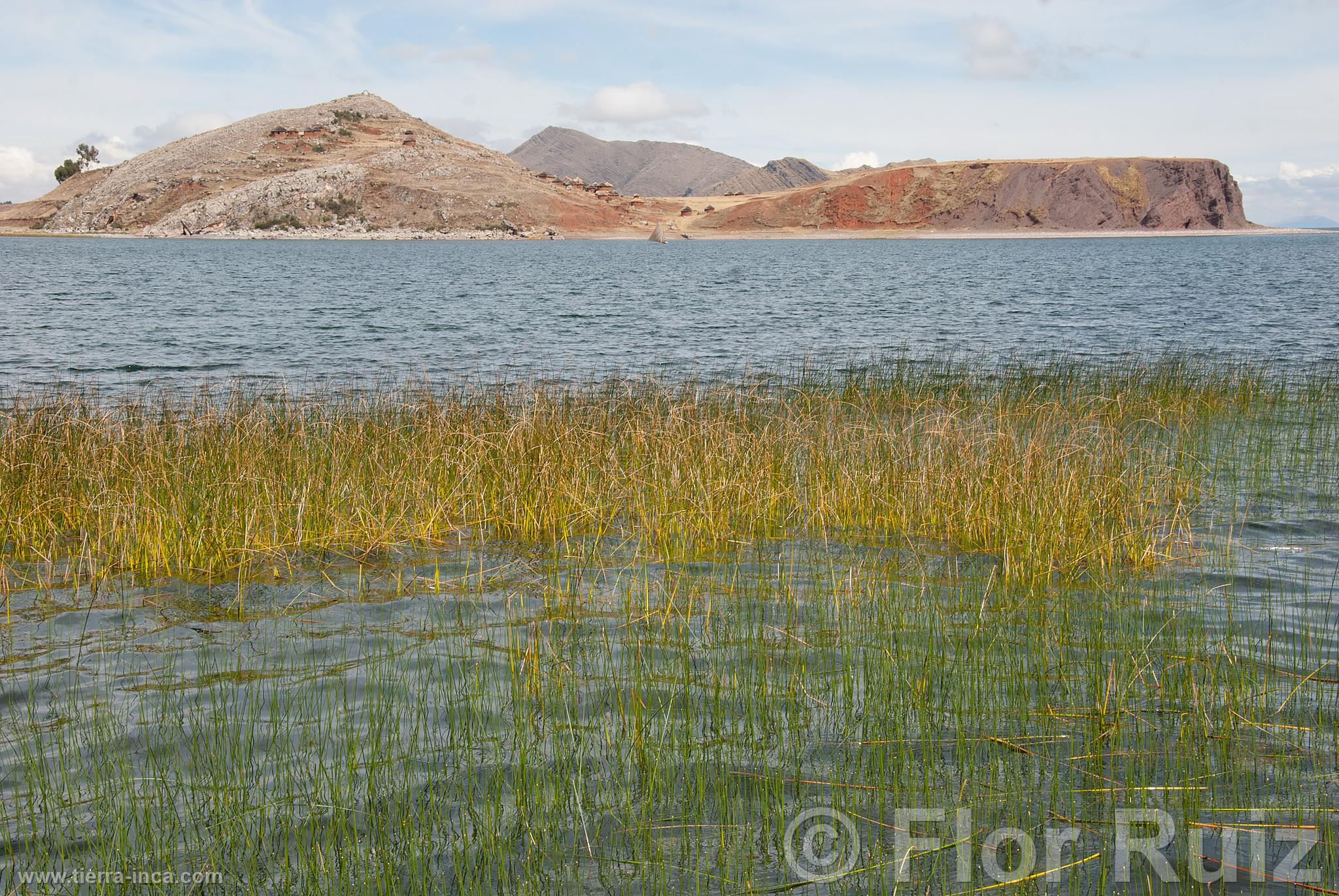 Isla Tikonata en el Lago Titicaca