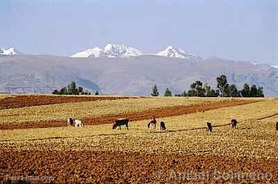 Valle del Mantaro