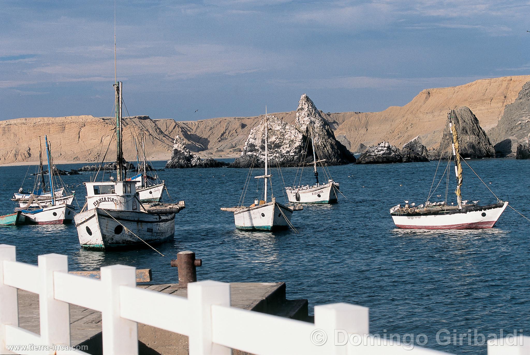 Lanchas de pesca en yacila