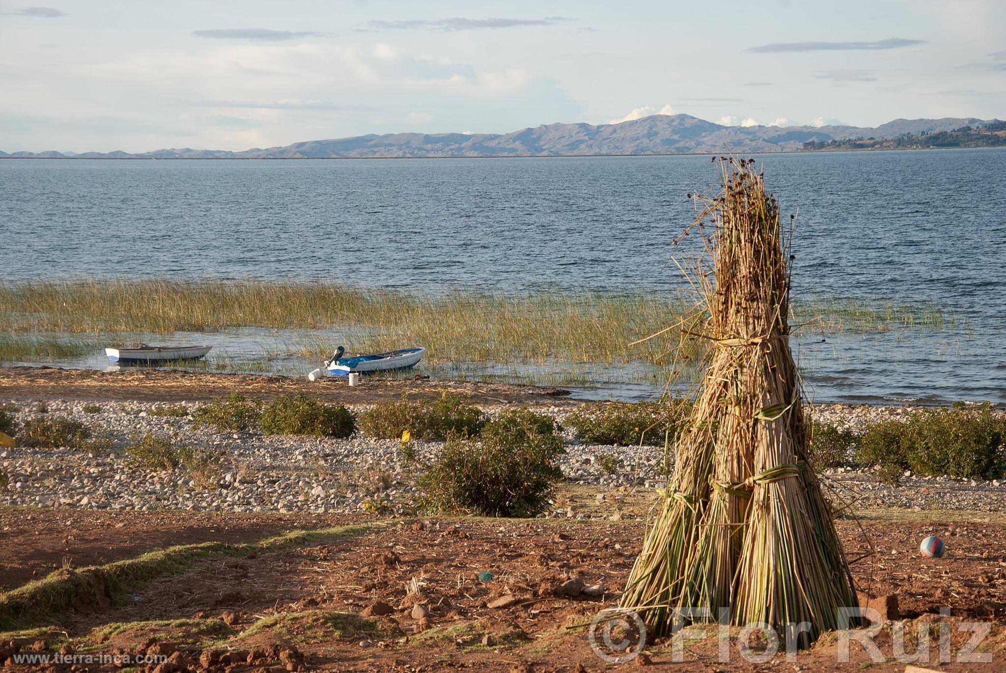 Comunidad de Luquina chico y Lago Titicaca