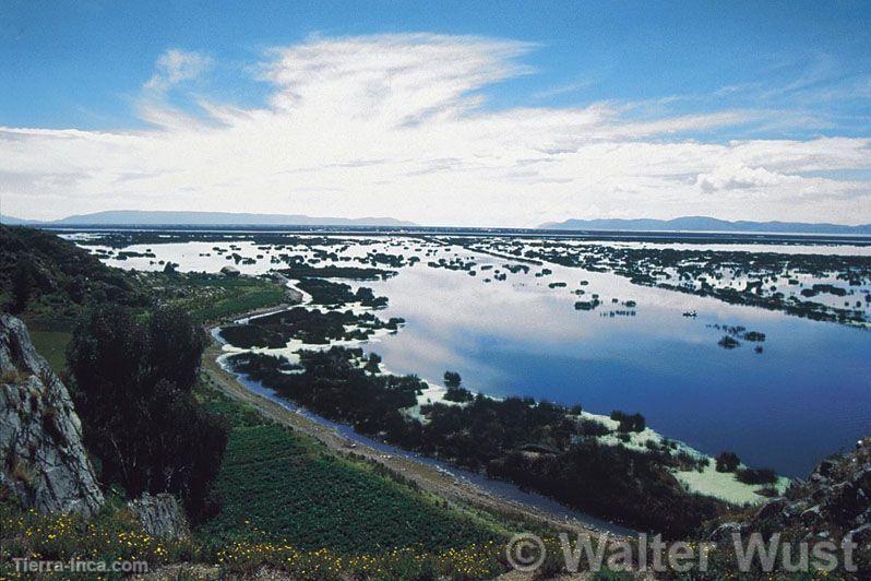 Reserva Nacional del Titicaca