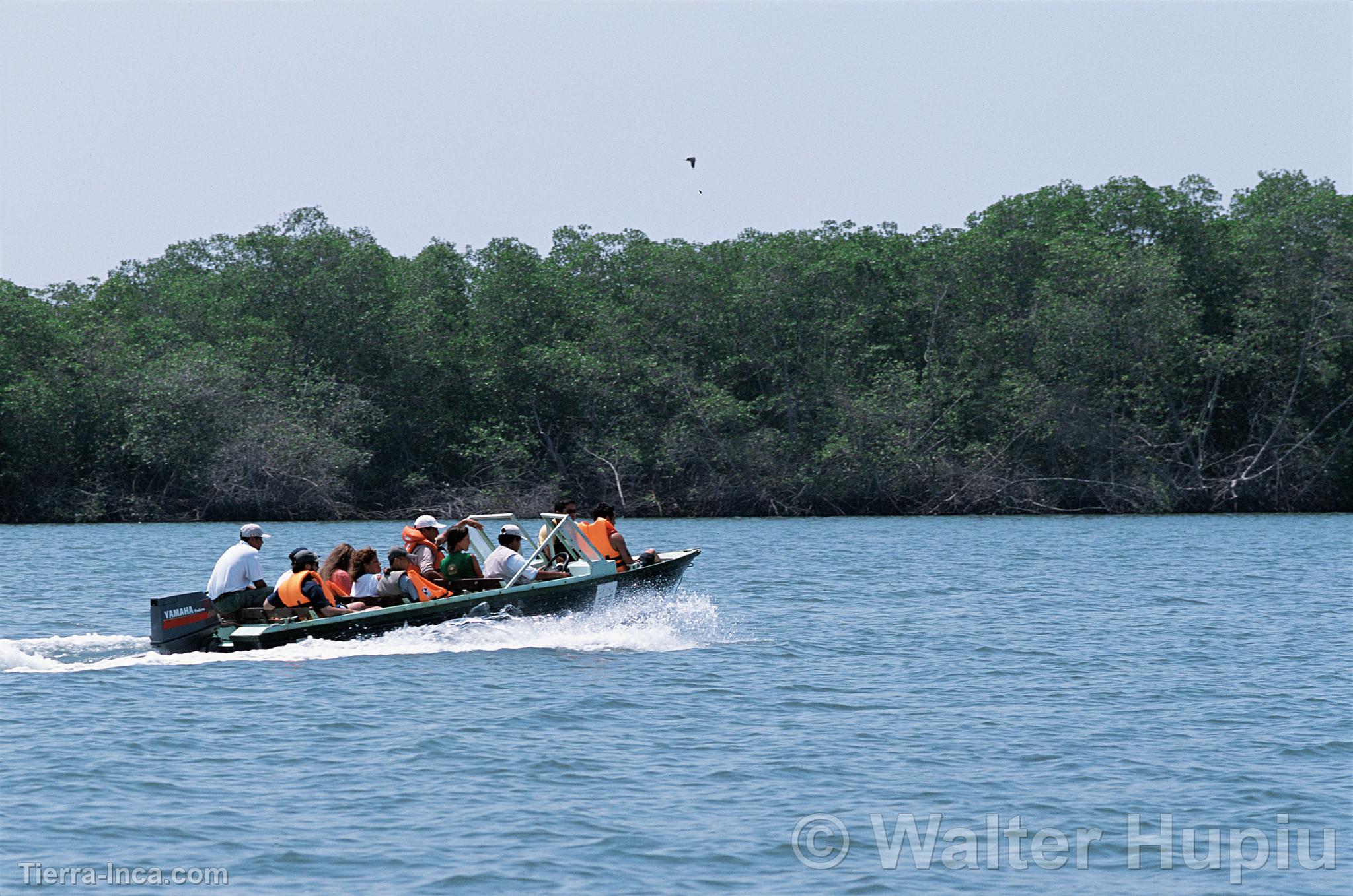 Turistas en los manglares de Tumbes