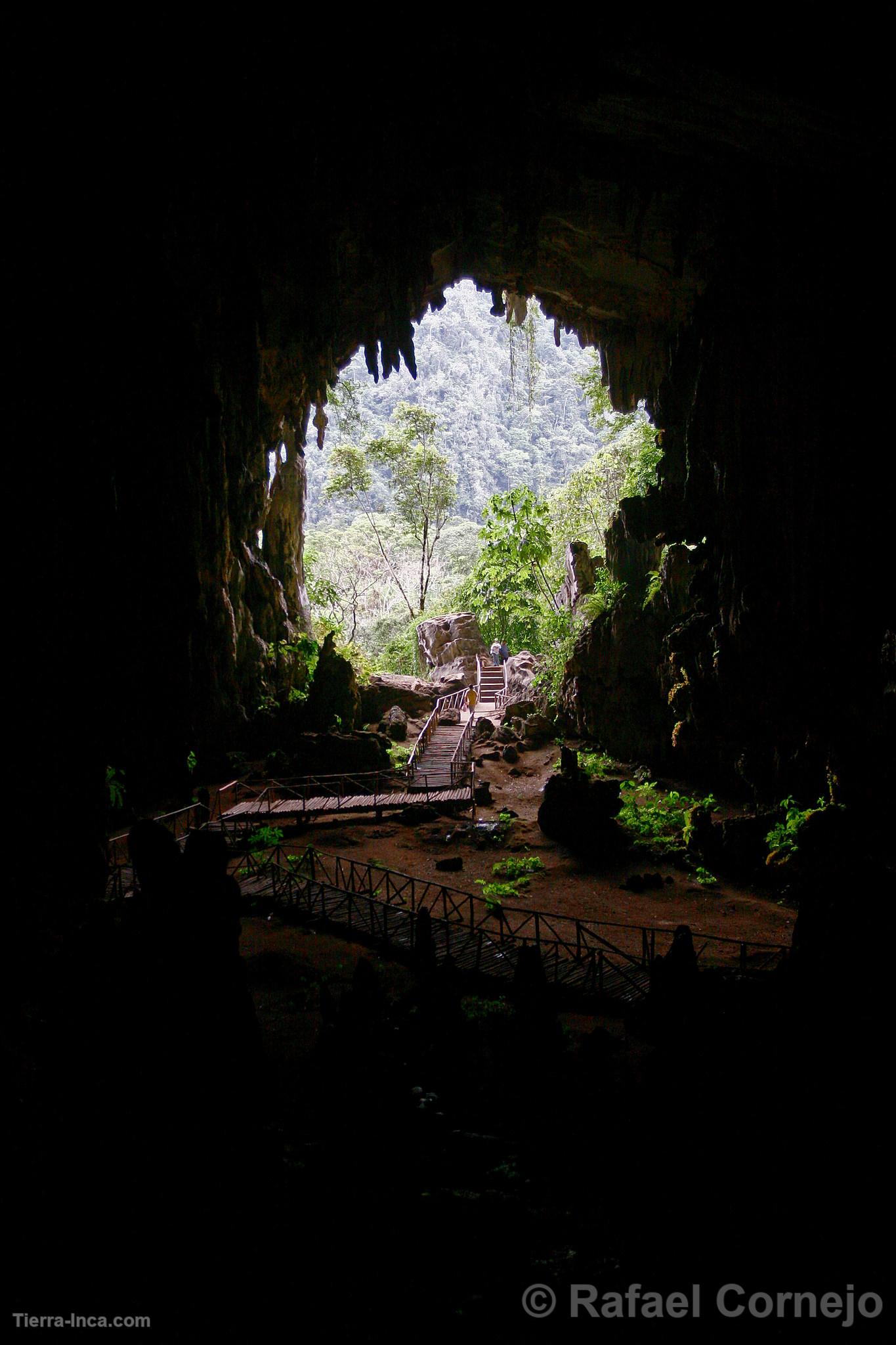 Cueva de Las Lechuzas, Tingo María