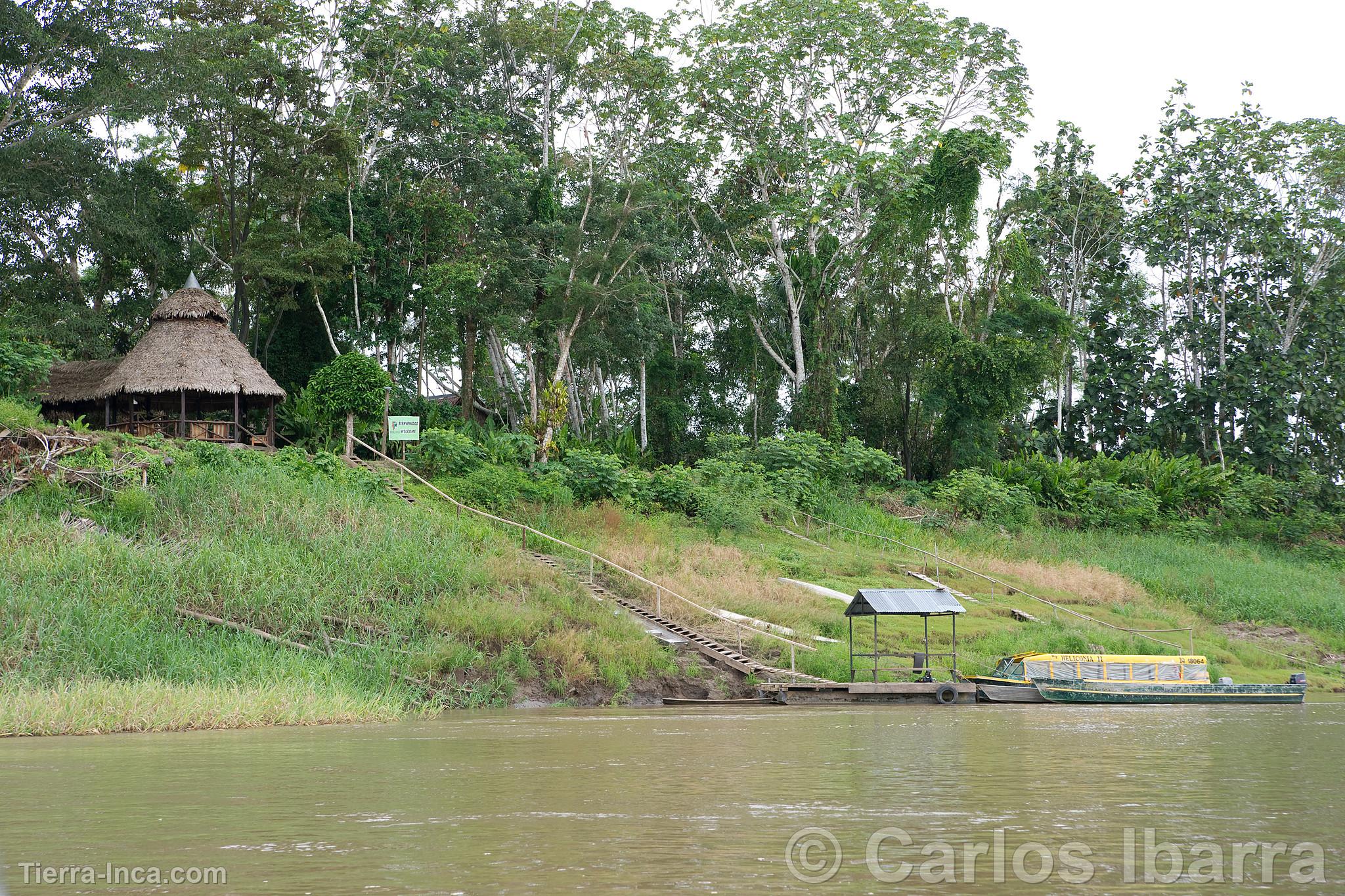 Rivera del ro Amazonas