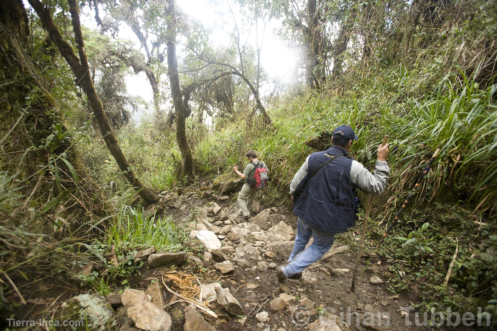 Trekking a Choquequirao