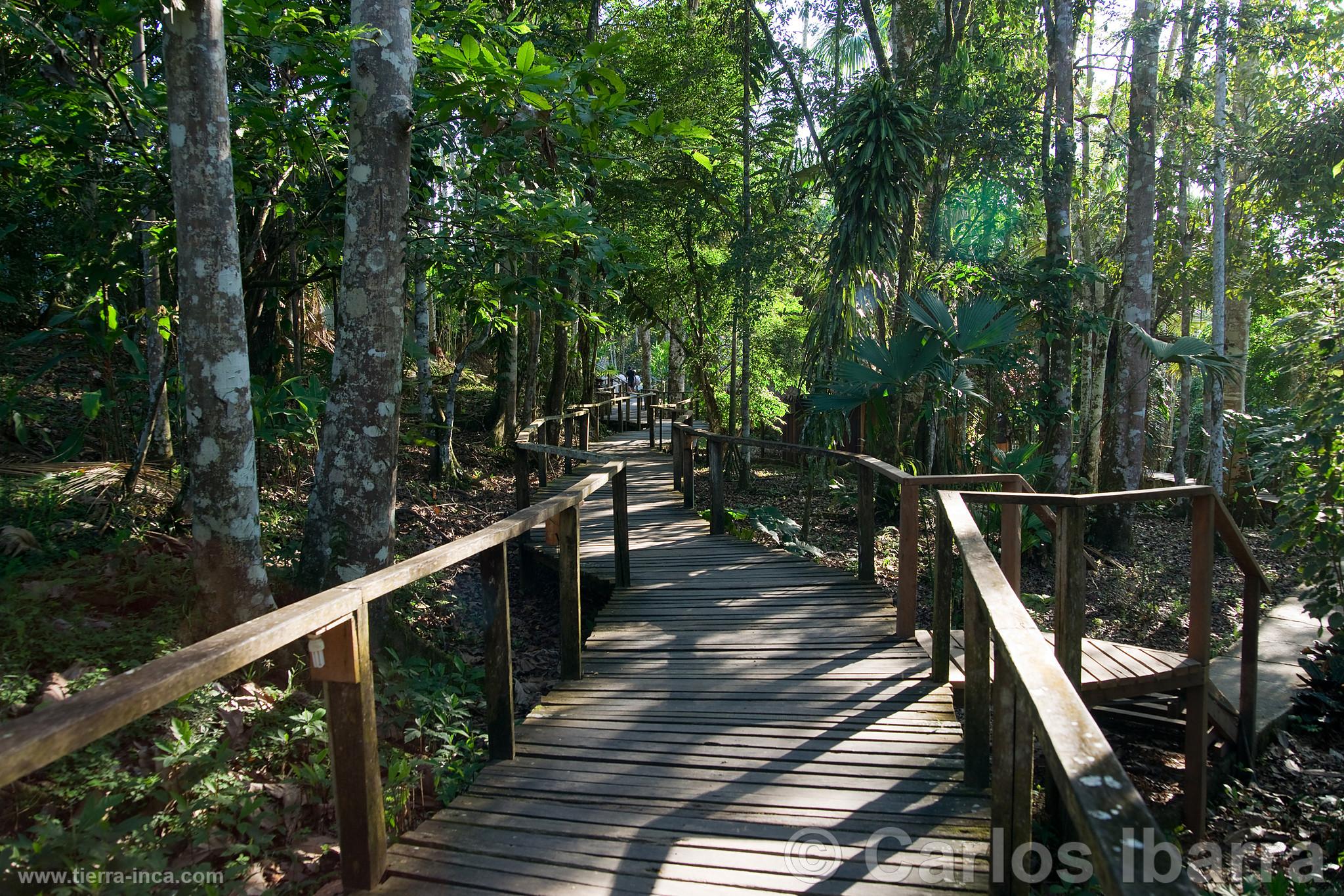 Ceiba Tops Lodge