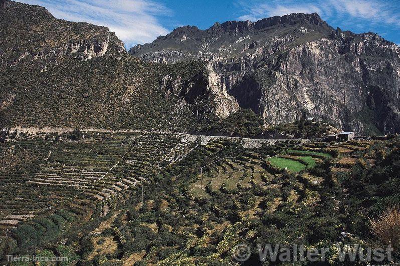 Valle de Cotahuasi