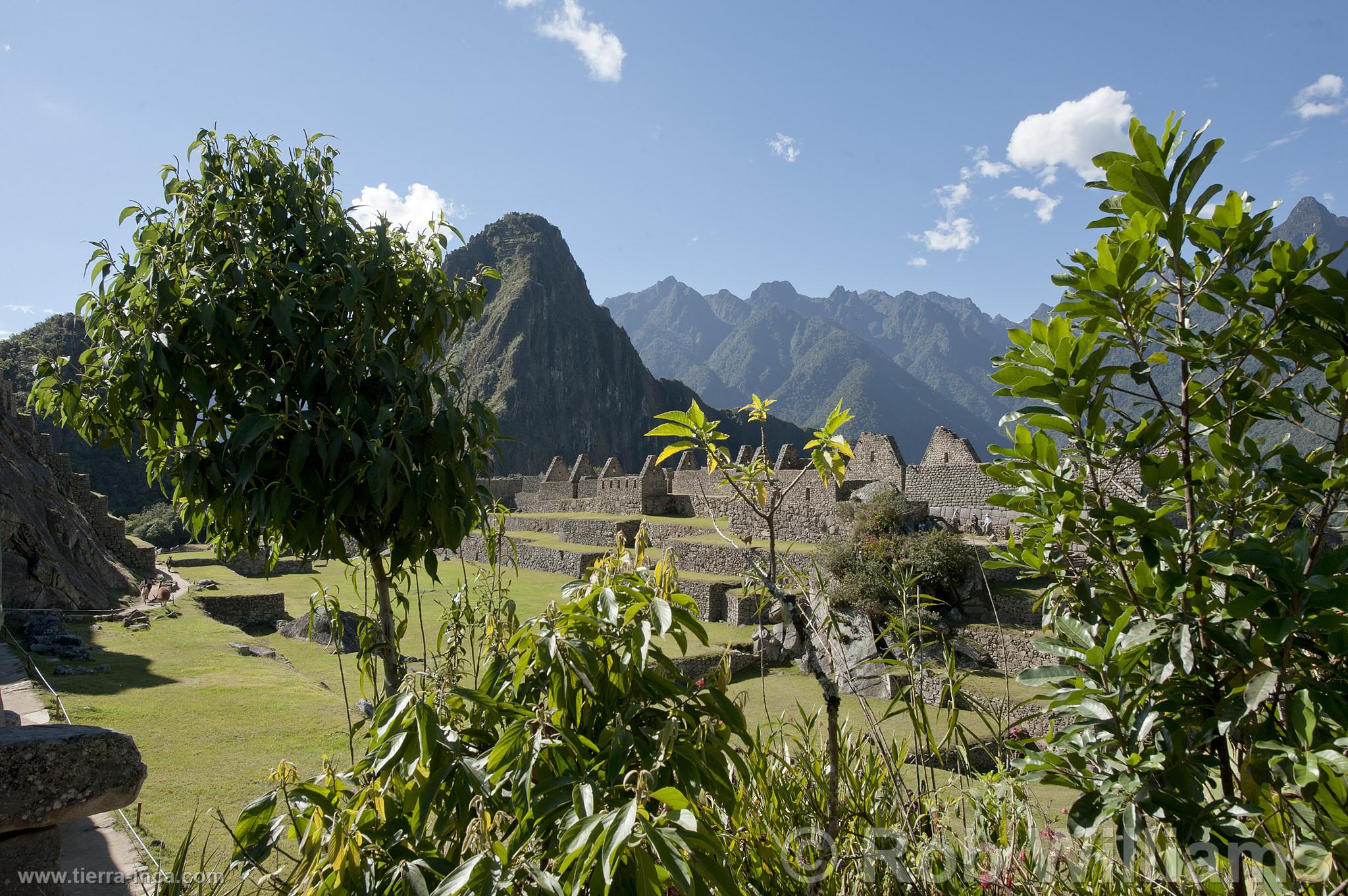 Ciudadela de Machu Picchu