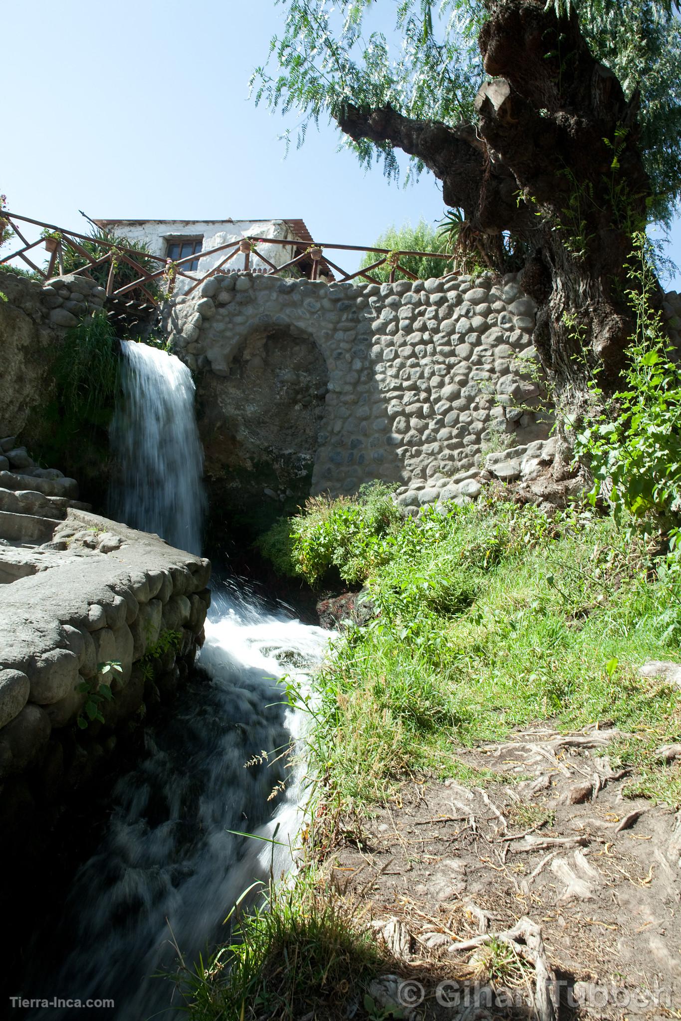 Molino de Sabandía