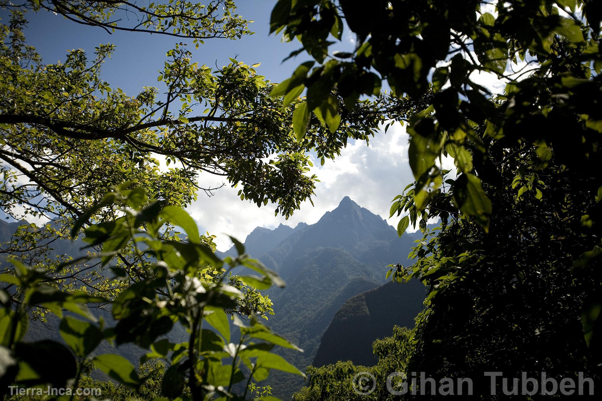 Ingreso a Machu Picchu