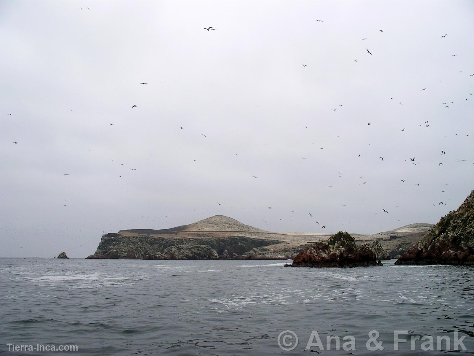 Paracas