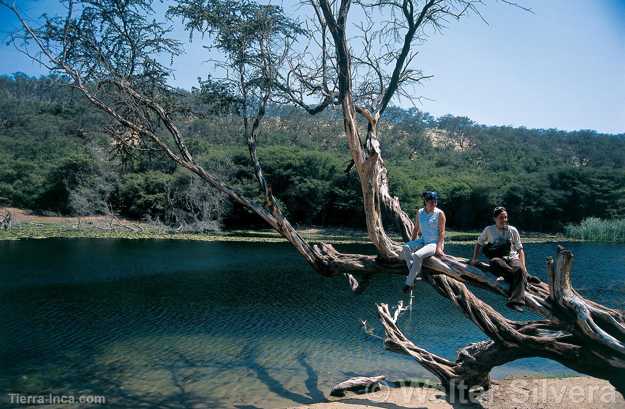 Reserva de Caoncillo, Pacasmayo