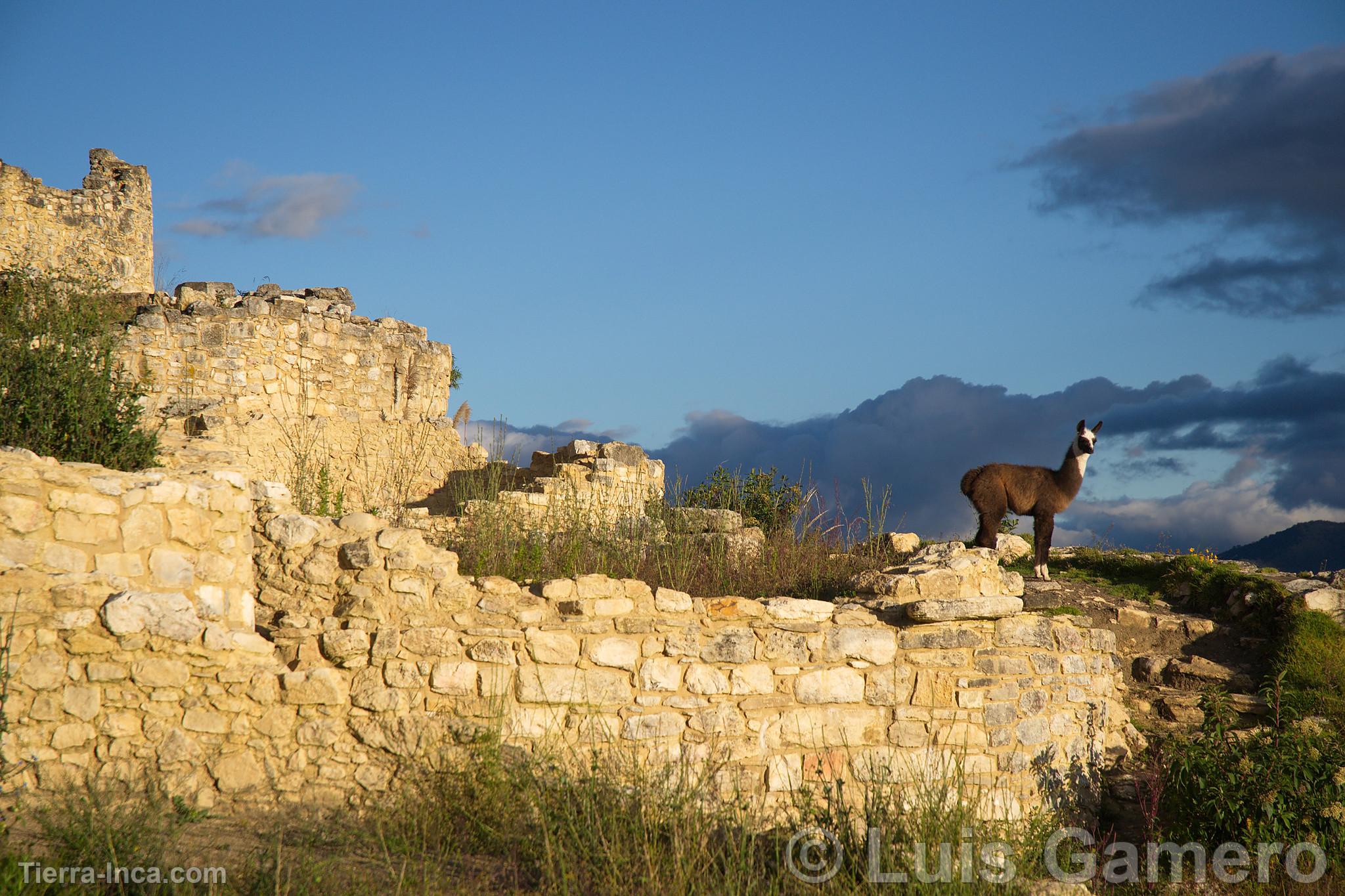 Fortaleza de Kuelap, Kulap