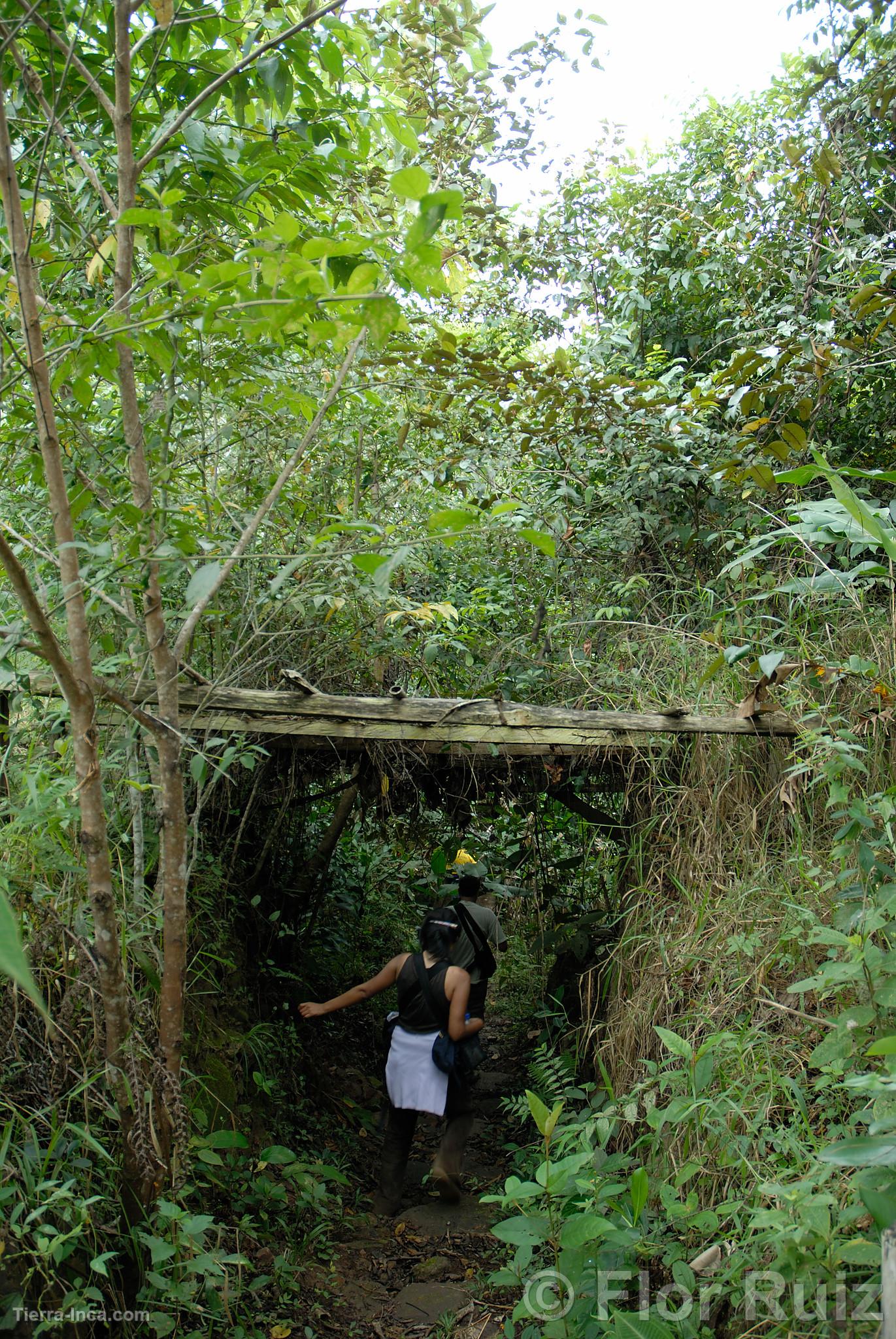 Centro de conservacin de la flora y fauna Urku