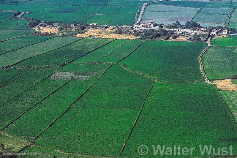 Valle de Caman